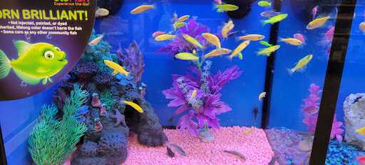 Pet Supply Store «Pet Supplies Plus», reviews and photos, 34370 Aurora Rd, Solon, OH 44136, USA