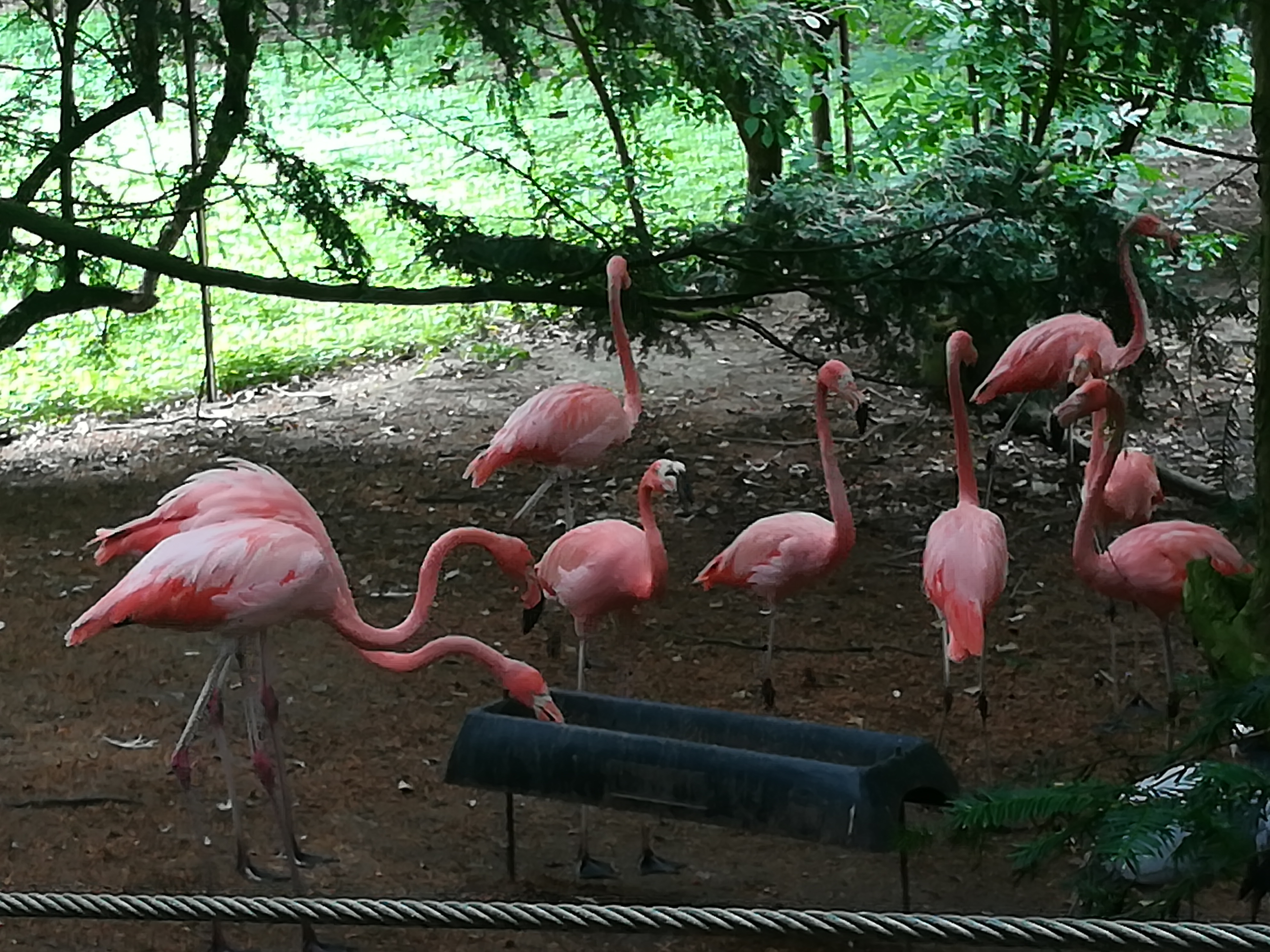 Photo n° 5 de l'avis de Christophe.A fait le 26/07/2020 à 19:03