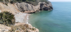 Foto di Playa de Pebre con molto pulita livello di pulizia