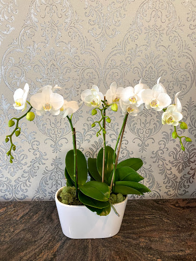 Florist «Fleur De Lis Florists», reviews and photos, 6588 Quinton Ln, Tujunga, CA 91042, USA