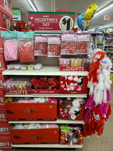 Dollar Store «Dollar Tree», reviews and photos, 132-23 14th Ave, College Point, NY 11356, USA