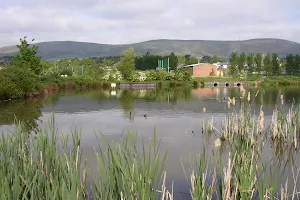 Bog Meadows Nature Reserve image