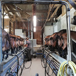 Photo n° 3 de l'avis de Ludivine.o fait le 11/08/2023 à 20:06 pour LA PASTOURELLE fromagerie fromages chèvre brebis vache, visite à la ferme 83 var à Châteaudouble