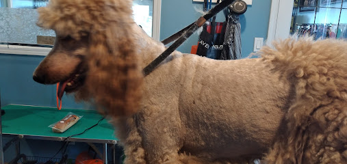 Tinkers Paws Dog Grooming