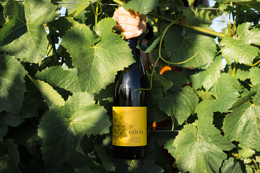 Winery «Coria Estates», reviews and photos, 8252 Redstone Ave SE, Salem, OR 97306, USA