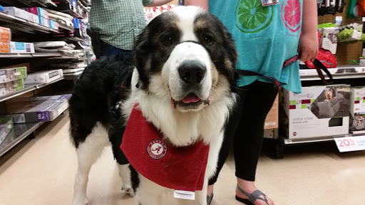 Pet Supply Store «Petco Animal Supplies», reviews and photos, 5631 Grove Blvd, Hoover, AL 35226, USA
