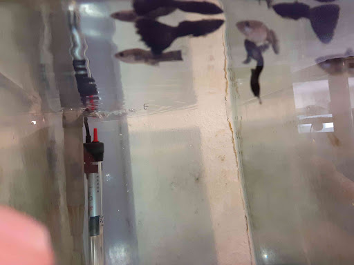 Pet Supply Store «Milwaukee Aquatics», reviews and photos, 3946 S Howell Ave, Milwaukee, WI 53207, USA