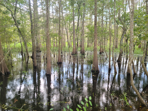 Tourist Attraction «Black Bear Wilderness Trailhead», reviews and photos, 5298 Michigan Ave, Sanford, FL 32771, USA