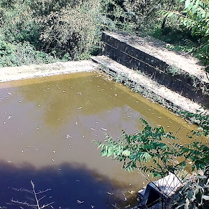 Zeehan Da Nounn photo