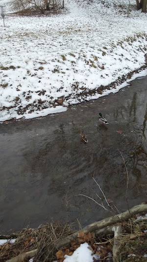 Milligan Park - photo 60