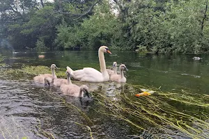 River Walk image