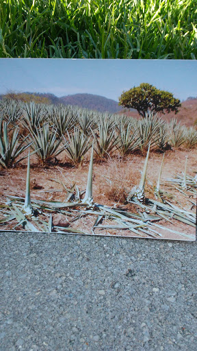 Park «Marquette Park», reviews and photos, 6743 S Kedzie Ave, Chicago, IL 60629, USA