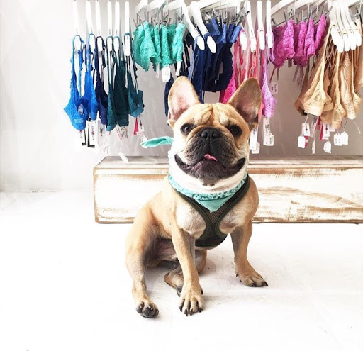 Photography Studio «ANGIE DAVIS», reviews and photos, 1131 Front St, Conway, AR 72032, USA