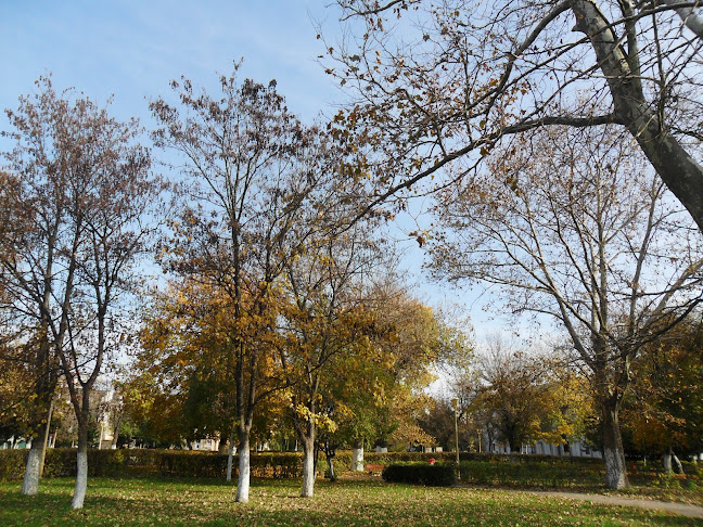 BOGHIANU NICOLETA - CABINET INDIVIDUAL DE PSIHOLOGIE - Psiholog