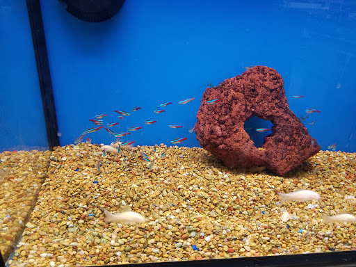 Pet Supply Store «Petco Animal Supplies», reviews and photos, 1610 Avenue Y, Brooklyn, NY 11235, USA