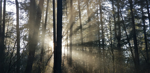 Funeral Home «Fir Lane Memorial Park & Funeral», reviews and photos, 924 176th St E, Spanaway, WA 98387, USA