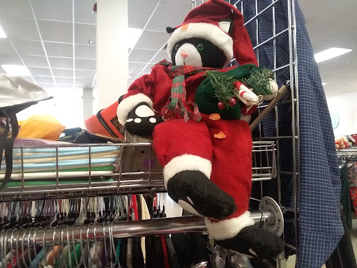 Thrift Store «Goodwill», reviews and photos