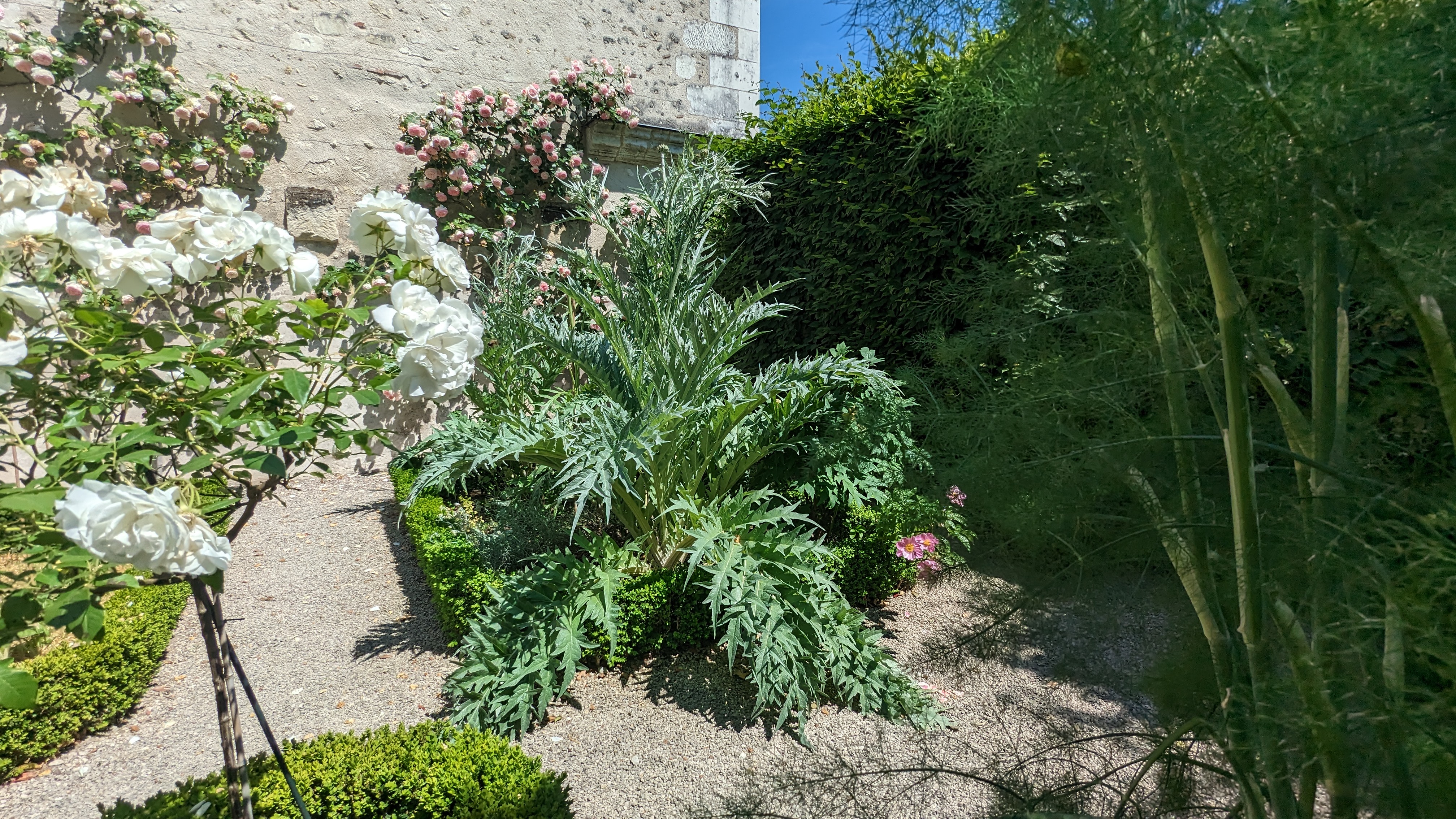 Photo n° 4 de l'avis de Christophe.O fait le 05/06/2023 à 05:37