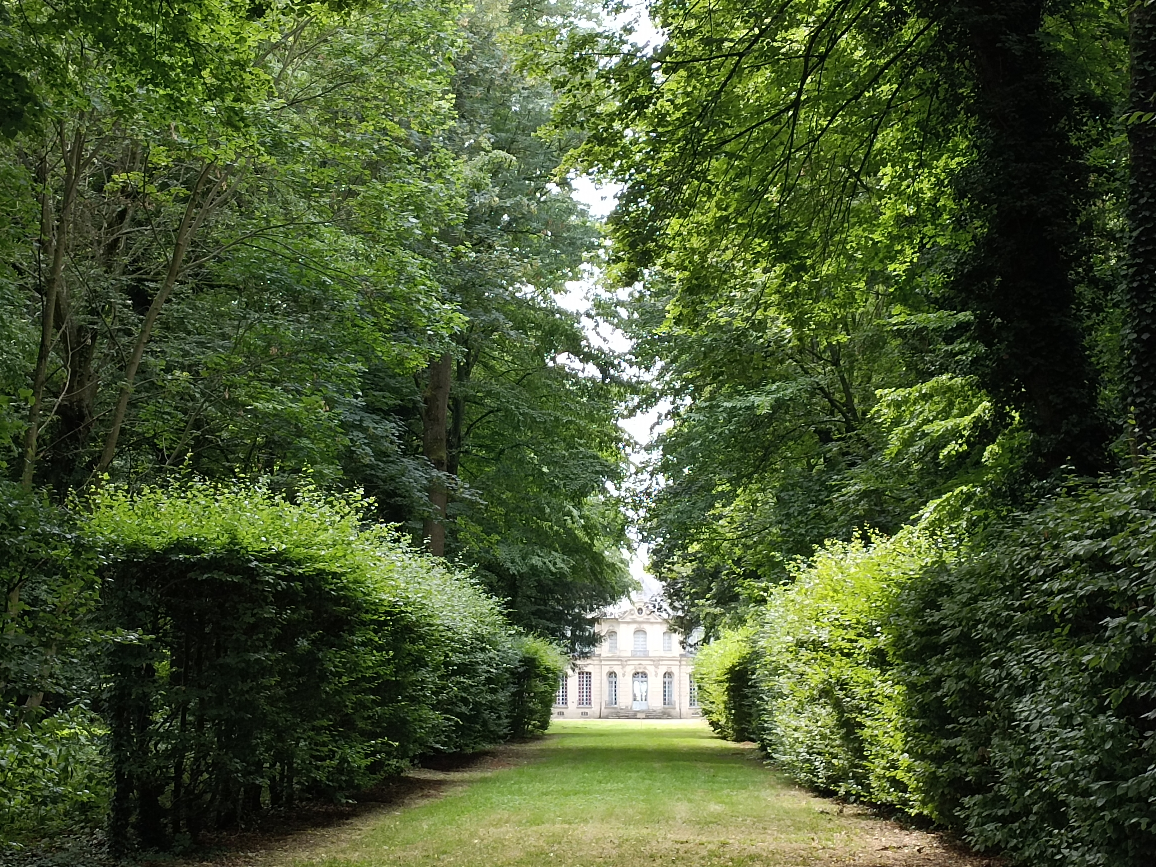 Photo n° 33 de l'avis de Oréda. fait le 09/07/2023 à 19:49