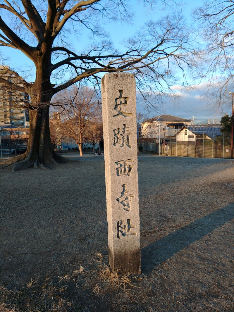 唐橋西寺公園