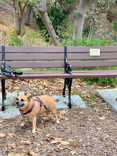 Park «Crown Valley Park / Laguna Niguel Parks & Recreation», reviews and photos, 29751 Crown Valley Pkwy, Laguna Niguel, CA 92677, USA