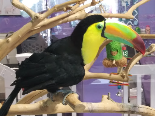 Pet Store «Bark Life Market», reviews and photos, 11220 Park Blvd N, Seminole, FL 33772, USA