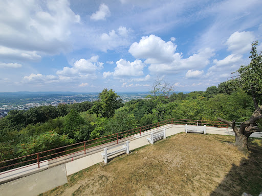 Landmark «The Pagoda», reviews and photos, 98 Duryea Dr, Reading, PA 19602, USA