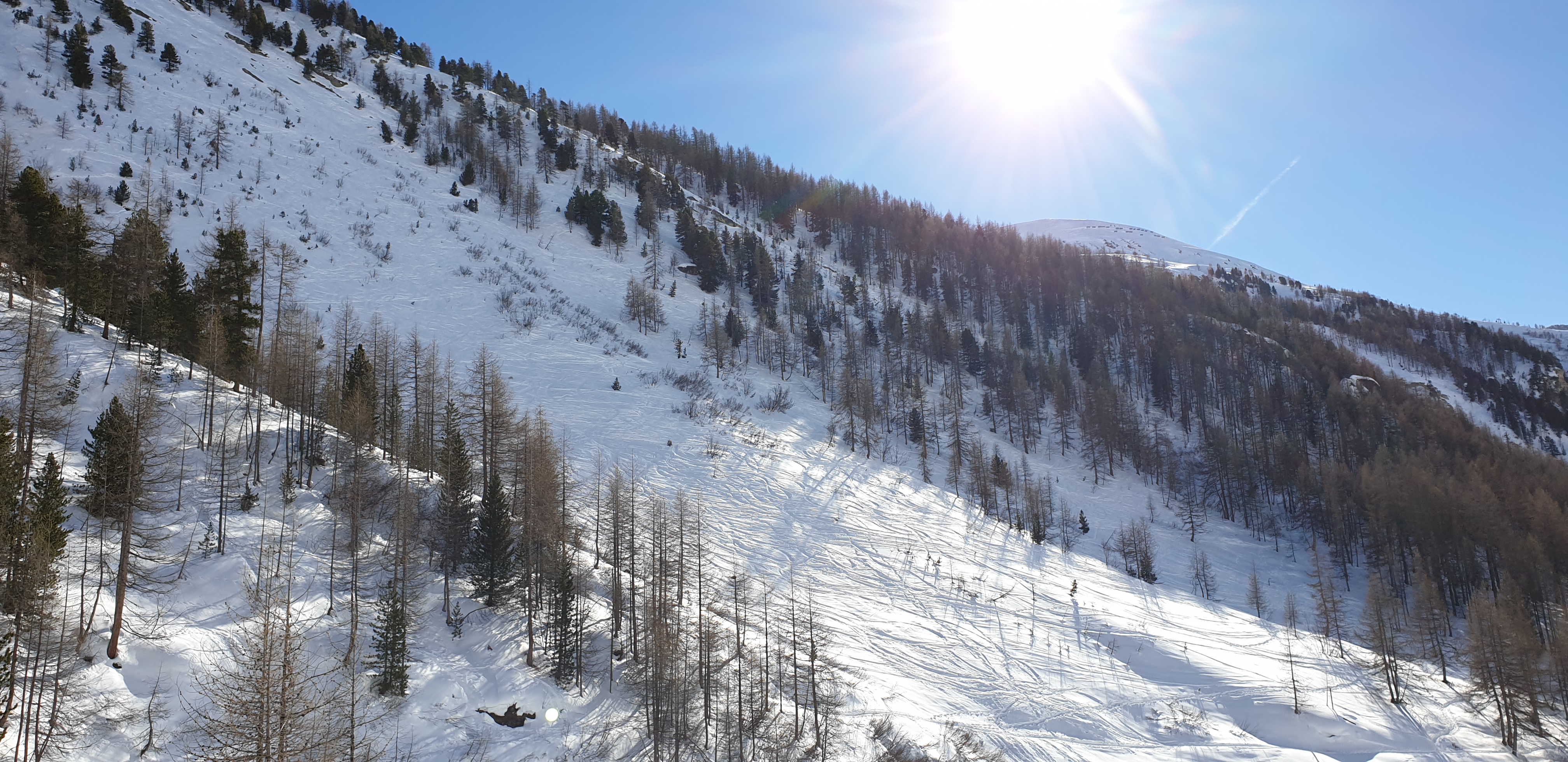 Photo n° 9 de l'avis de Bachra.E fait le 01/03/2019 à 14:07