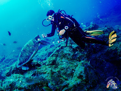 Atlantic divers Tenerife