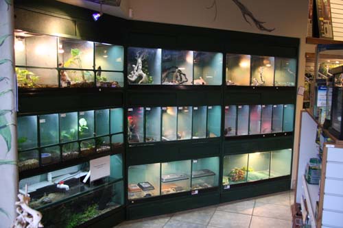 Pet Supply Store «The Aquarium», reviews and photos, 9132 700 E, Sandy, UT 84070, USA