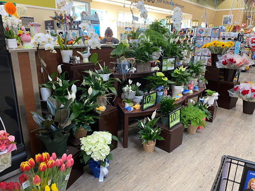 Grocery Store «Albertsons», reviews and photos, 615 Keck Dr, McMinnville, OR 97128, USA