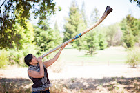 Phoenix Song Music - Photo 2 - Car repair in Richmond, CA, Berkeley