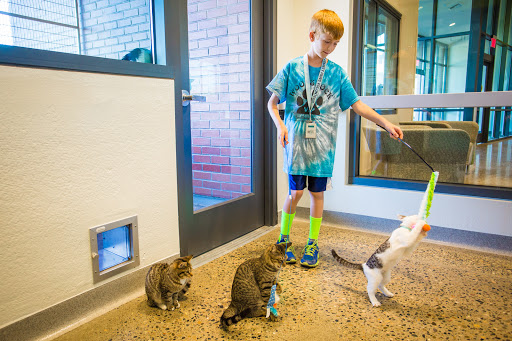 Placer County Animal Services Center image