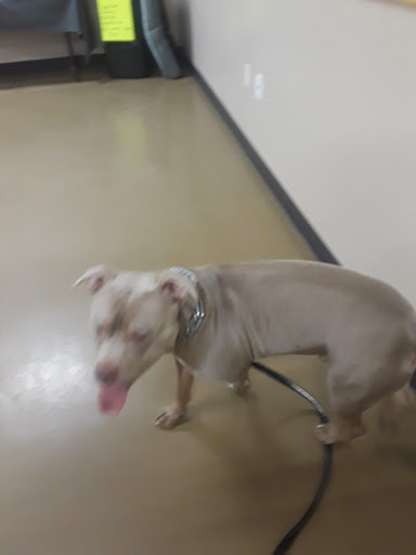 Pet Supply Store «Pet Supplies Plus», reviews and photos, 1791 W Columbia Ave, Battle Creek, MI 49015, USA