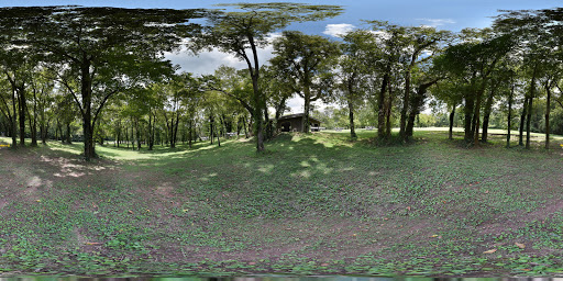 Disc Golf Course «Woodland Park Disc Golf Course - Columbia, TN», reviews and photos, 821 W 9th St, Columbia, TN 38401, USA