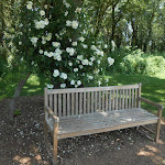 Photo n° 2 de l'avis de Phil.9 fait le 06/06/2023 à 08:10 pour Roseraie - Les Chemins de la Rose à Doué la Fontaine