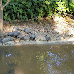 Photo n°1 de l'avis de antonio.i fait le 05/04/2022 à 08:55 sur le  Parco Zoo Falconara Srl à Falconara Marittima