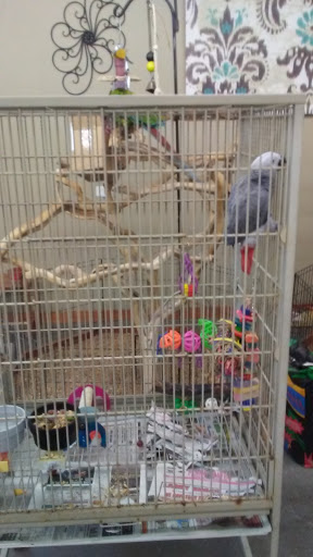 Pet Store «Just Pets», reviews and photos, 393 NY-5, Irving, NY 14081, USA