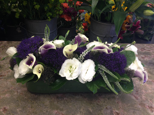 Florist «Solano Florist», reviews and photos, 1863 Solano Ave, Berkeley, CA 94707, USA