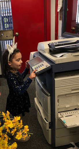 Insurance Company «Willoughby Insurance», reviews and photos