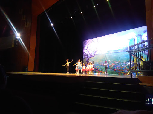 Performing Arts Theater «South Milwaukee Performing Arts Center», reviews and photos, 901 15th Ave, South Milwaukee, WI 53172, USA