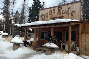 Dog Sled Adventures image