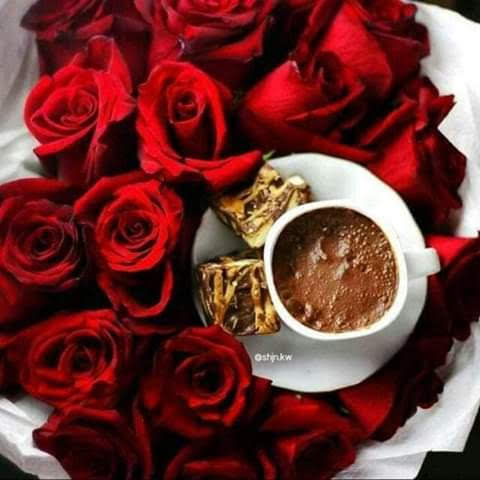 Vecina Beauty Supplies, 535 Dudley St, Boston, MA 02119, USA, 