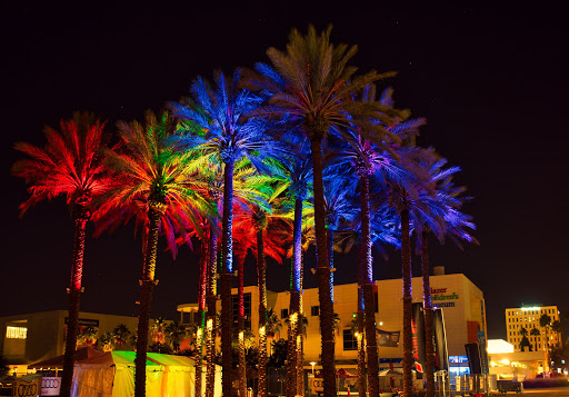 Park «Curtis Hixon Waterfront Park», reviews and photos, 600 N Ashley Dr, Tampa, FL 33602, USA