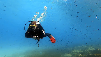 Nemo Scuba Diving Resort (PADI FIVE STAR INSTRUCTOR DEVELOPMENT DIVE RESORT)