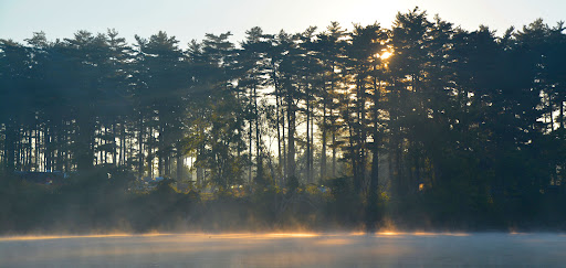 Campground «Winton Woods Campground», reviews and photos, 10245 Winton Rd, Cincinnati, OH 45231, USA