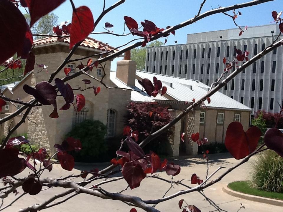 Tulsa Brow Shapes 74114