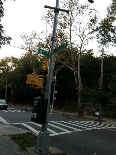 Dog Park «Forest Park Dog Run», reviews and photos, 8445 Park Ln S, Woodhaven, NY 11421, USA