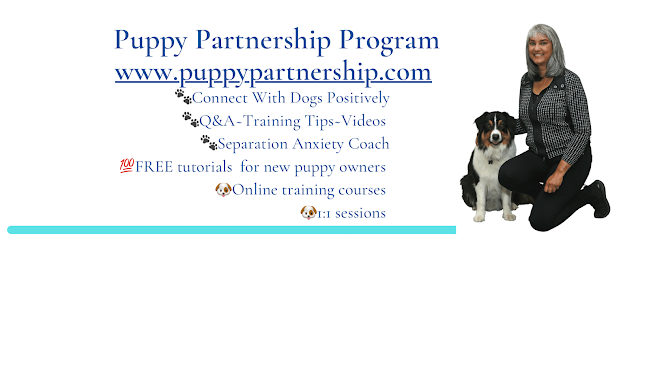 Puppy Partnership - online dog trainer - Hundetræner