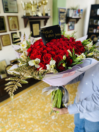 NOVA FLOWERS – Saltillo